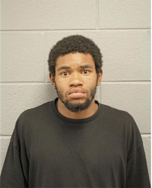 ROBERT D LEWIS, Cook County, Illinois