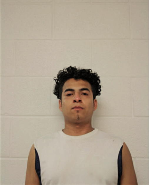 DAVID E LICONA, Cook County, Illinois