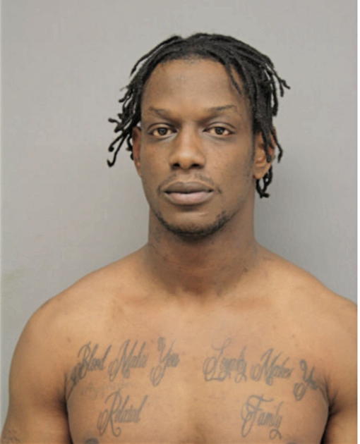 JAMES S MAYES, Cook County, Illinois