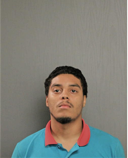 TRAVIS L MCCOY, Cook County, Illinois