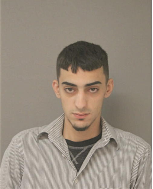 OMAR N OTHMAN, Cook County, Illinois