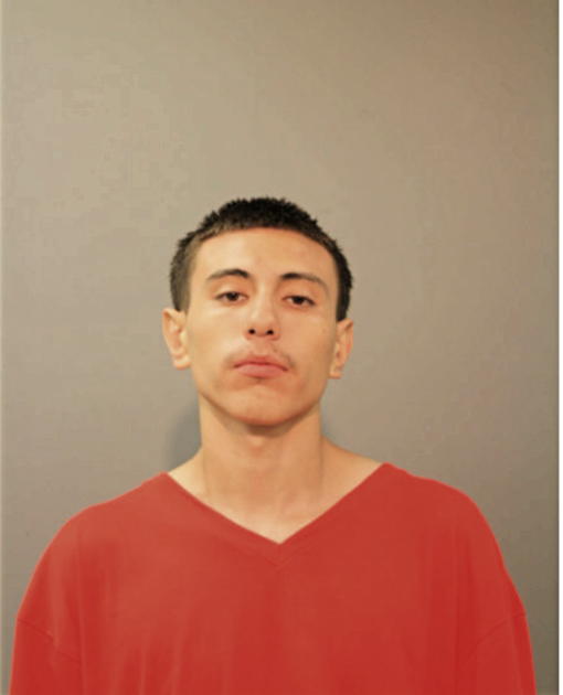 DIEGO PEREZ, Cook County, Illinois