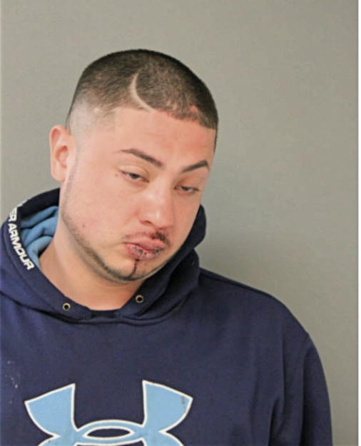 MARCELLO E ROSALES, Cook County, Illinois