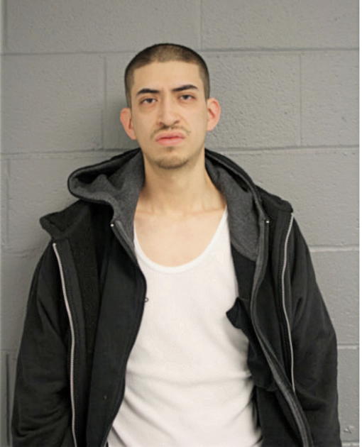 IVAN A SANCHEZ, Cook County, Illinois