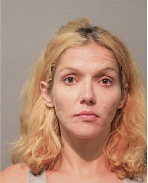 CELIA D SERBAN, Cook County, Illinois