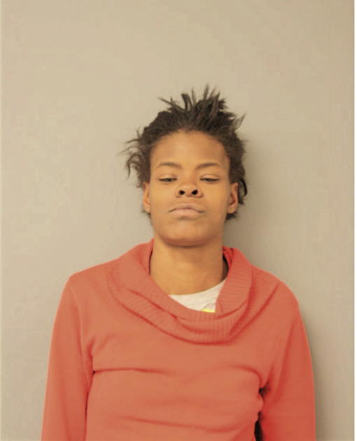 SALLY M YOUNG, Cook County, Illinois