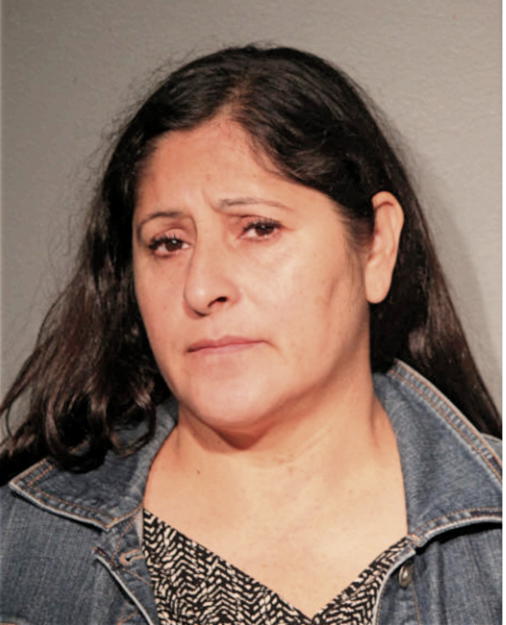 MICAELA ALANIS-SANCHEZ, Cook County, Illinois