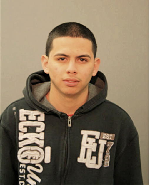 SERGIO ALCALAN, Cook County, Illinois