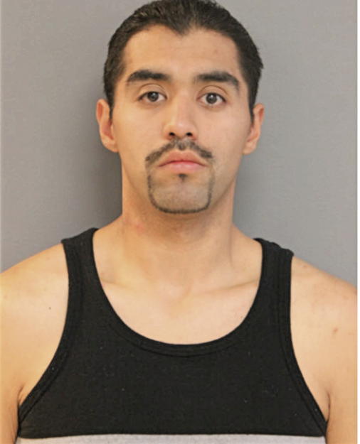 JUAN R ALDERETE, Cook County, Illinois