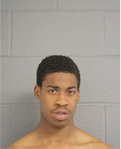 DARNELL D ANDERSON, Cook County, Illinois
