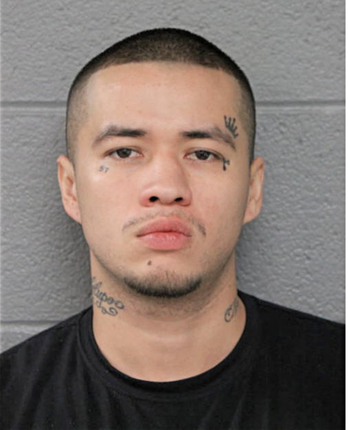 MICHAEL D ANGUIANO, Cook County, Illinois