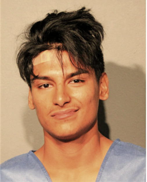 KRISTIAN R ARMENDARIZ, Cook County, Illinois