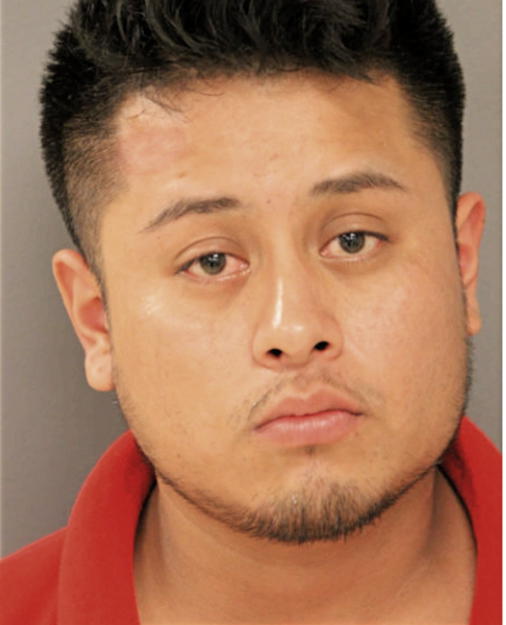 FERNANDEZ BARTOLO, Cook County, Illinois