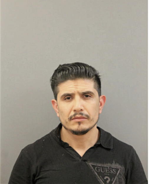 NOE BELTRAN-DOMINGUES, Cook County, Illinois