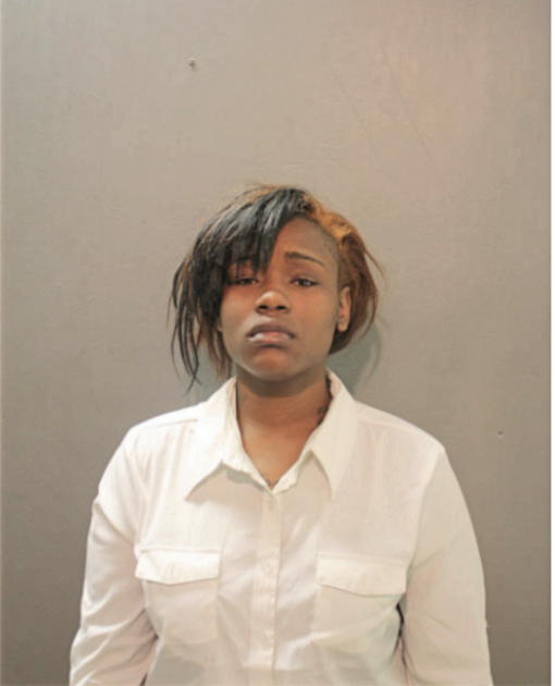 BRITTANY L BUSH, Cook County, Illinois