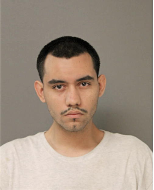 CARLOS CARRION, Cook County, Illinois