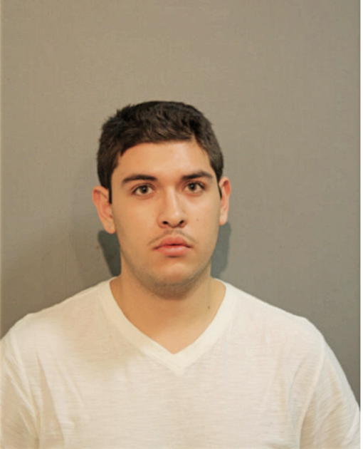 EDSON CERDA, Cook County, Illinois