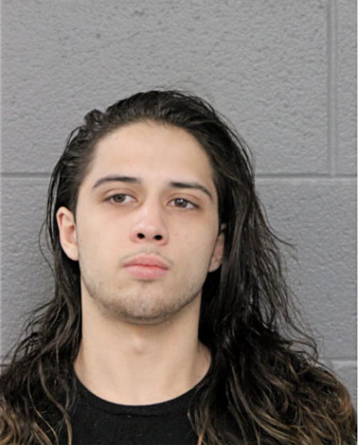 MACKENZIE L CHABOKI, Cook County, Illinois
