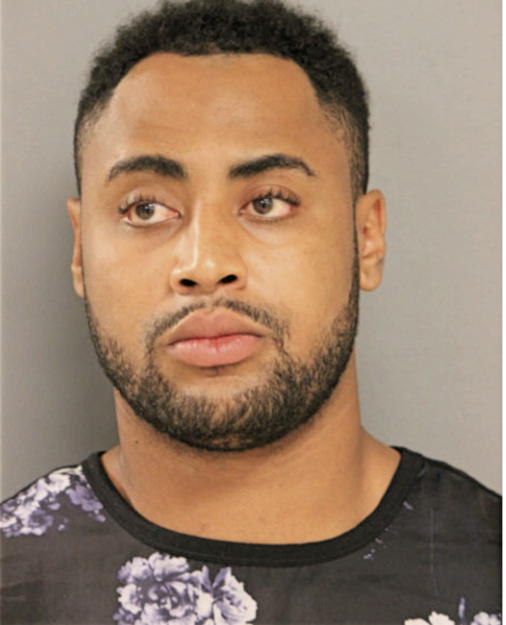 CHRISTOPHER J CHAPMAN, Cook County, Illinois