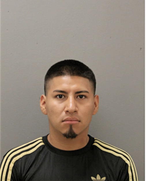 DAVID SALINAS CUEVAS, Cook County, Illinois