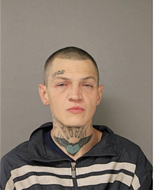 MICHAEL J CURTIN, Cook County, Illinois