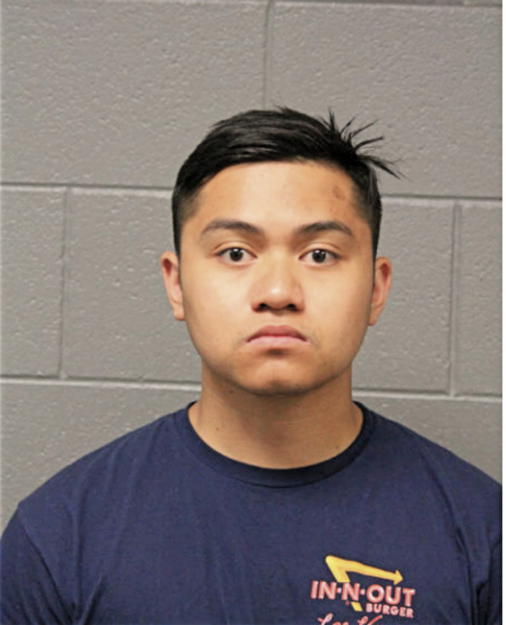 NICHOLAS J DEL CARMEN, Cook County, Illinois