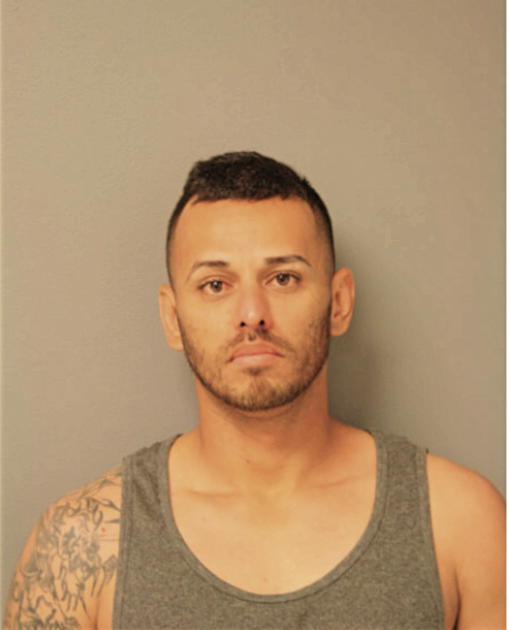 JORGE L DELGADO ORENGO, Cook County, Illinois