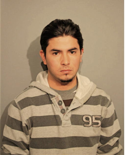 HECTOR FLORES, Cook County, Illinois
