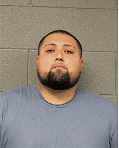 MIGUEL J GUERRERO, Cook County, Illinois