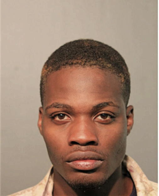 CHRISTIAN X HOSEMAN, Cook County, Illinois