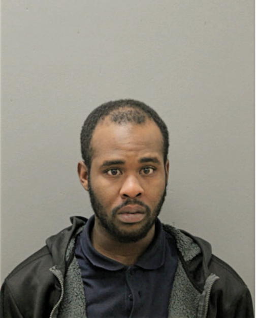 DOMINIC R JOHNSON, Cook County, Illinois