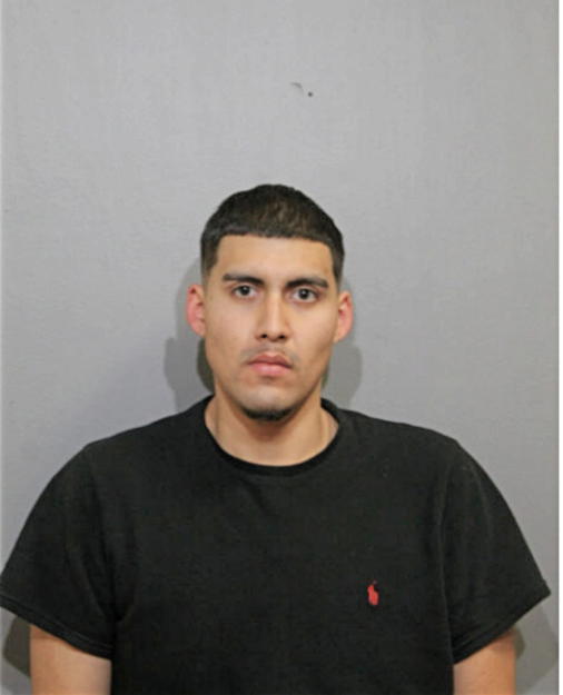 HECTOR LEDEZMA, Cook County, Illinois