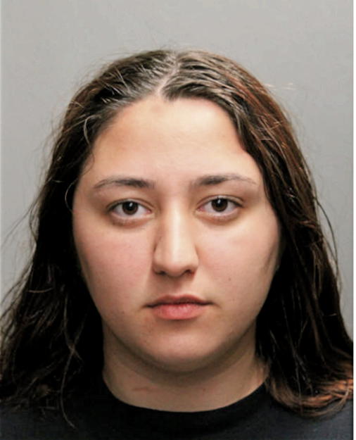 AVDIC LEJLA, Cook County, Illinois