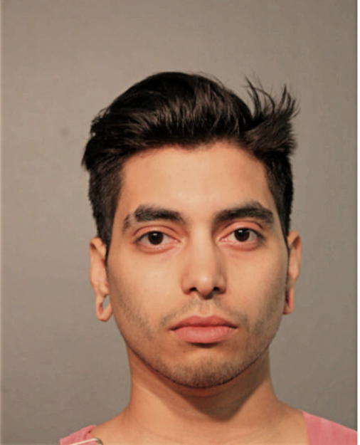 ZAMIR MENDEZ, Cook County, Illinois