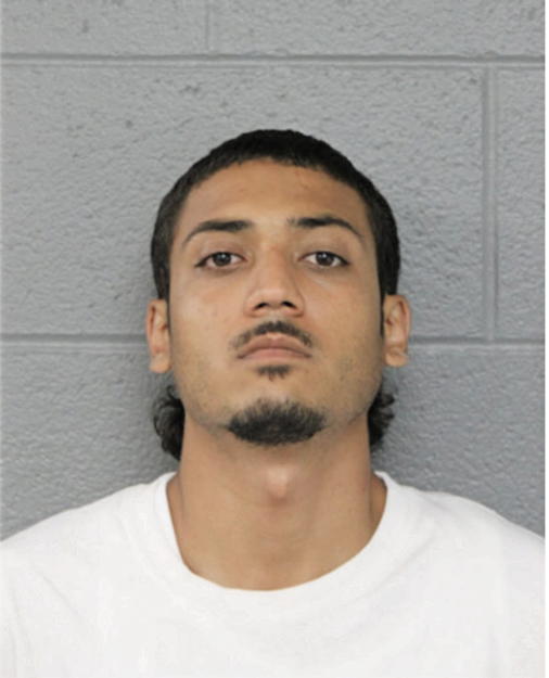 JAMES J MONTENEGRO, Cook County, Illinois