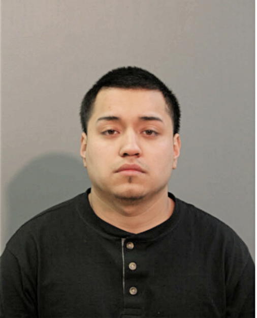 RODOLFO ORTEGA, Cook County, Illinois