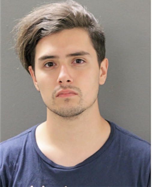 ERIC A REYES, Cook County, Illinois