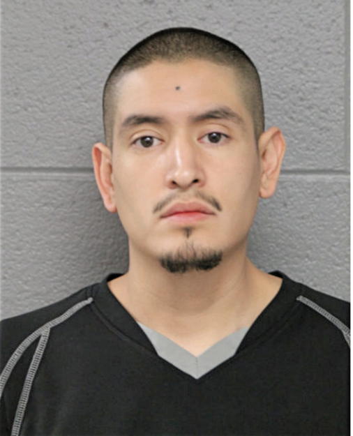CESAR RICO, Cook County, Illinois