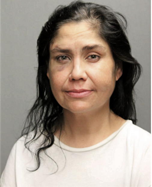 BETHZIDA A RODRIGUEZ, Cook County, Illinois