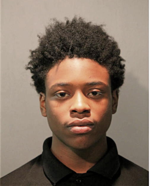 TAHIR A SEITU, Cook County, Illinois