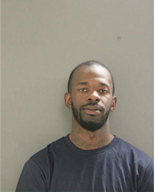 RONNIE L STEPPES, Cook County, Illinois