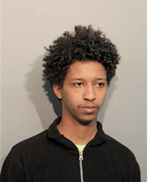 MILKIAS TEWELDEBERHANE, Cook County, Illinois