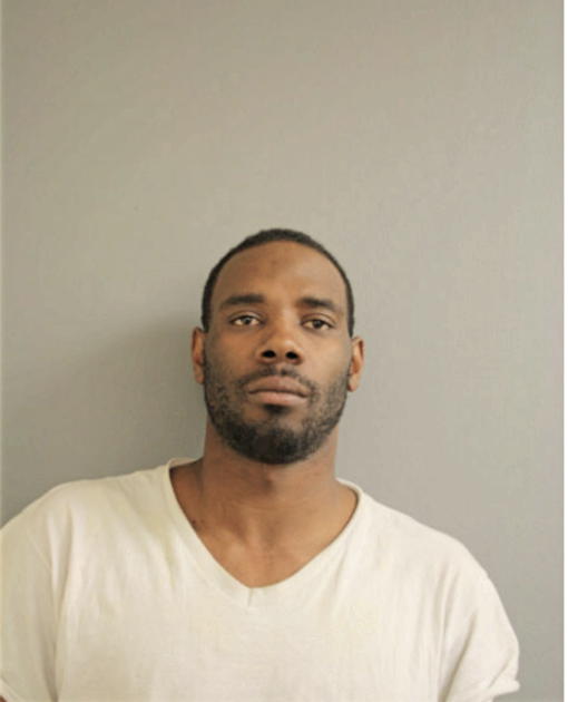 JAMES E WILLIAMS, Cook County, Illinois