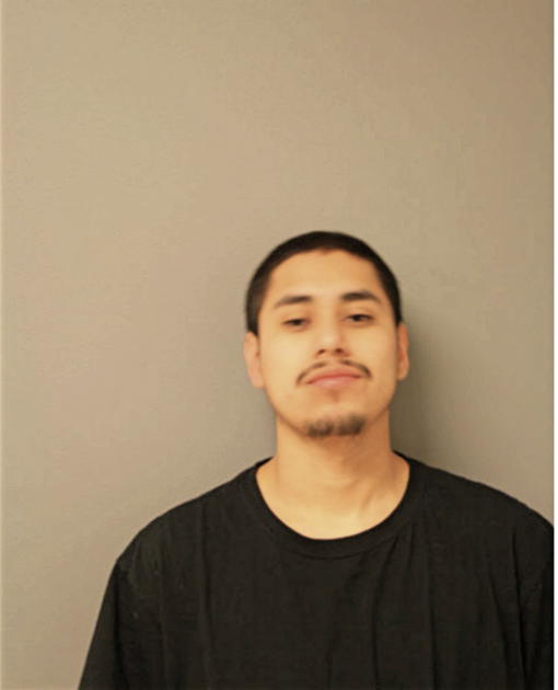 VLADIMIR ZEPEDA, Cook County, Illinois