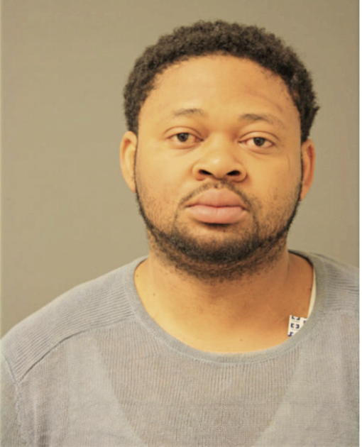 INNOCENT N BIBI, Cook County, Illinois