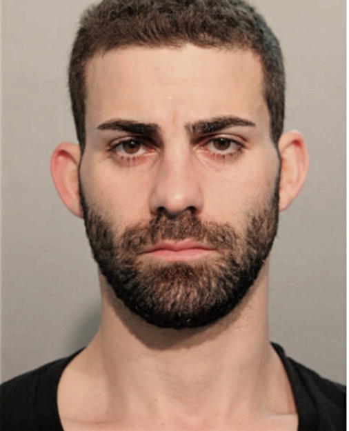 PLAMEN S BOYADZHIEZ, Cook County, Illinois