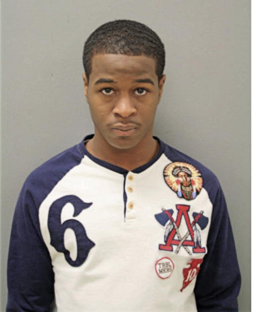 STANLEY M BRADFORD, Cook County, Illinois