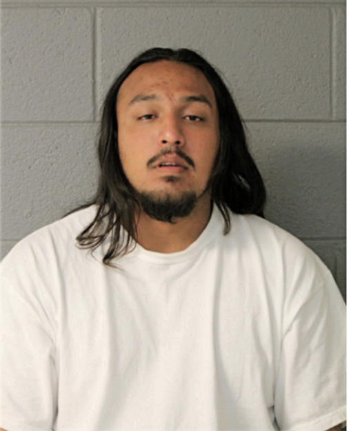 MIGUEL BRAVO, Cook County, Illinois