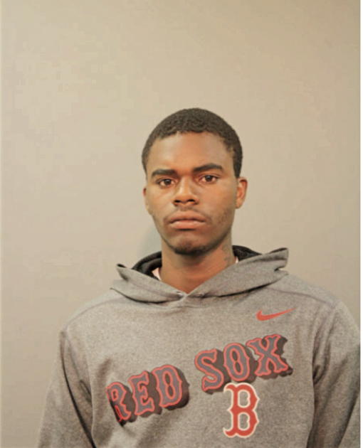 DAVID K CHILDS, Cook County, Illinois