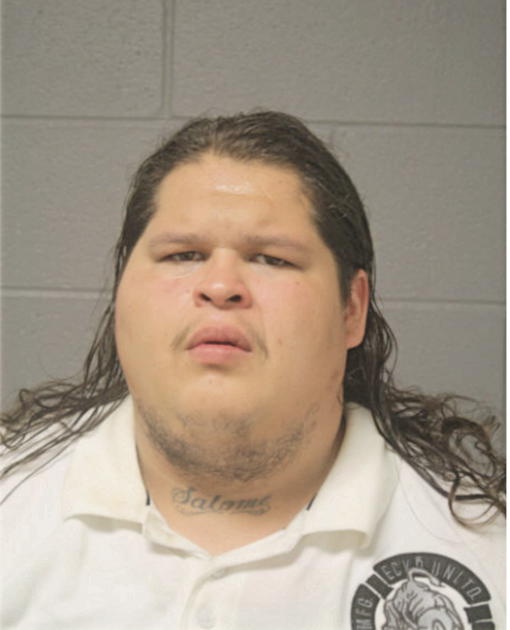 CHRISTOPHER CRUZ, Cook County, Illinois